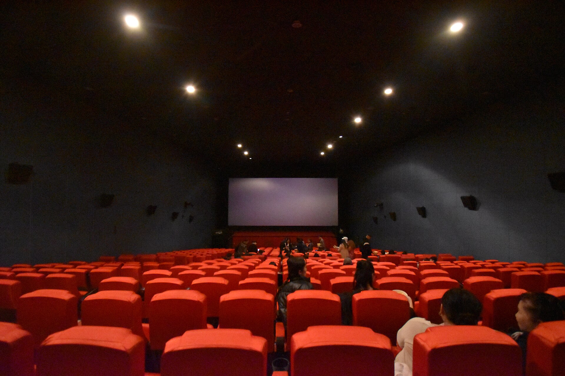 Trinidad Film Festival Marks 20 Years in Port of Spain